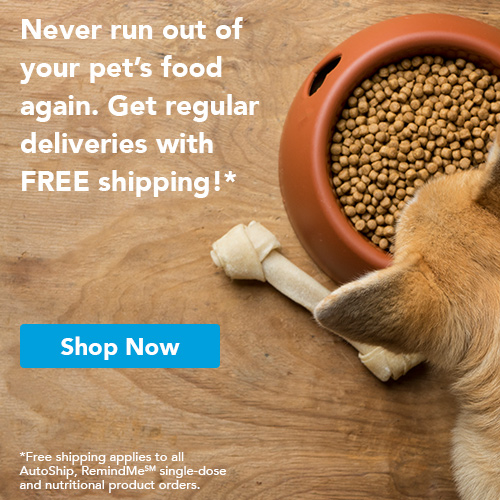 online store vetsoruce